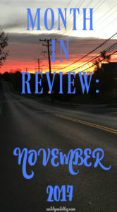 November is coming to a close which means its time to look back on the month! Click post to read about how my running and other workouts went this month, and plans for the winter. 