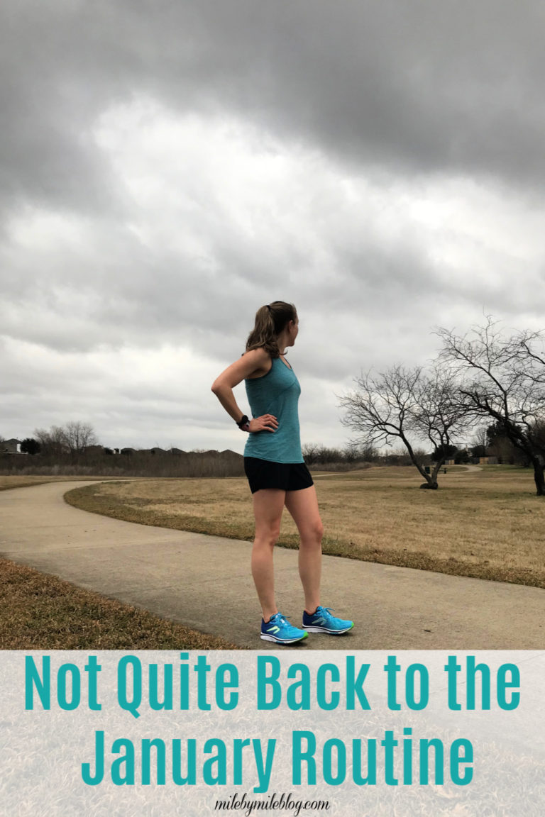 Not Quite Back to the January Routine • Mile By Mile