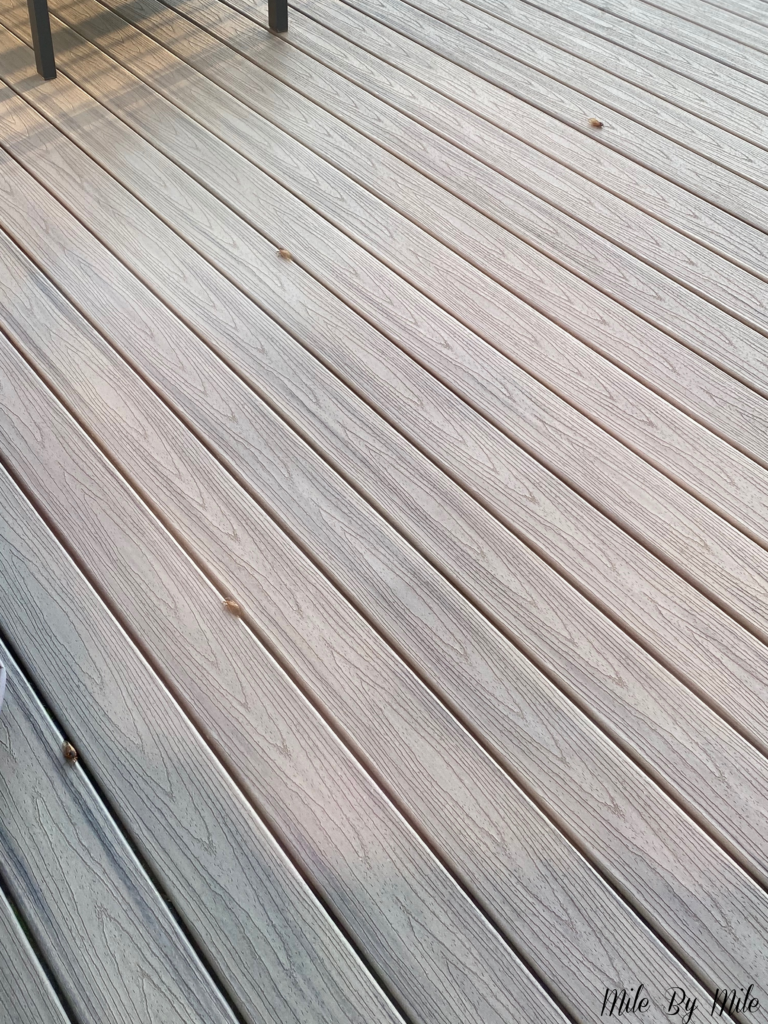 cicadas on deck