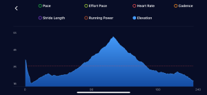 NCR race elevation